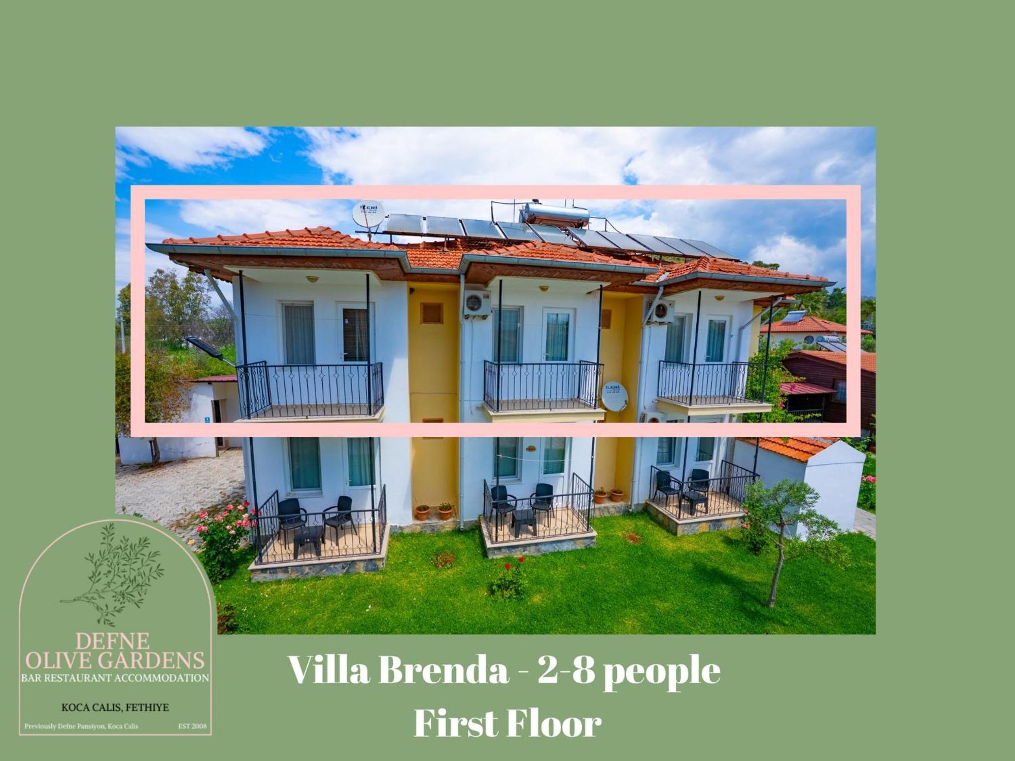 Defne Olive Gardens, Koca Calis, Fethiye - Previously Defne Pansiyon Ngoại thất bức ảnh