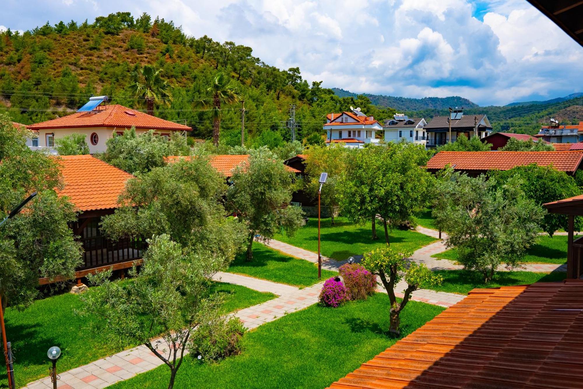 Defne Olive Gardens, Koca Calis, Fethiye - Previously Defne Pansiyon Ngoại thất bức ảnh