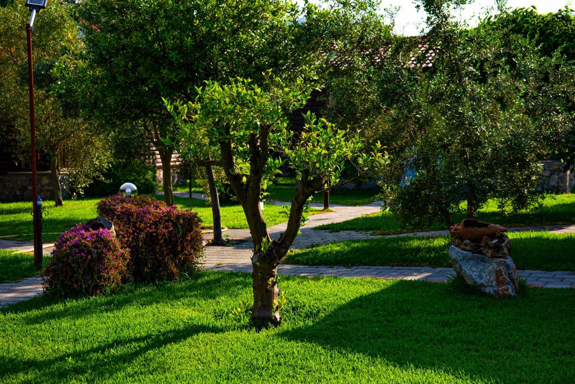 Defne Olive Gardens, Koca Calis, Fethiye - Previously Defne Pansiyon Ngoại thất bức ảnh